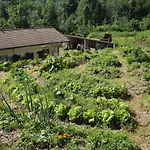 Bosco Delle Rune ..un Angolo Di Paradiso * Platischis