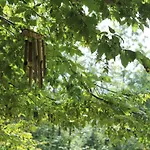 Couette-café Bosco Delle Rune ..un Angolo Di Paradiso *