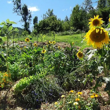فندق مبيت وإفطار Bosco Delle Rune ..un Angolo Di Paradiso Platischis