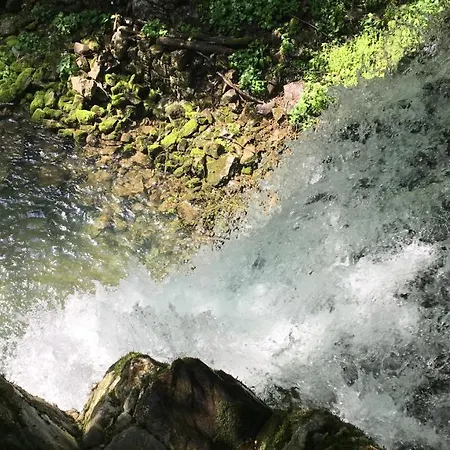 Bosco Delle Rune ..un Angolo Di Paradiso *