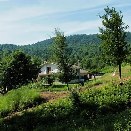 Bosco Delle Rune ..un Angolo Di Paradiso *