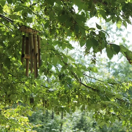 فندق مبيت وإفطار Bosco Delle Rune ..un Angolo Di Paradiso *