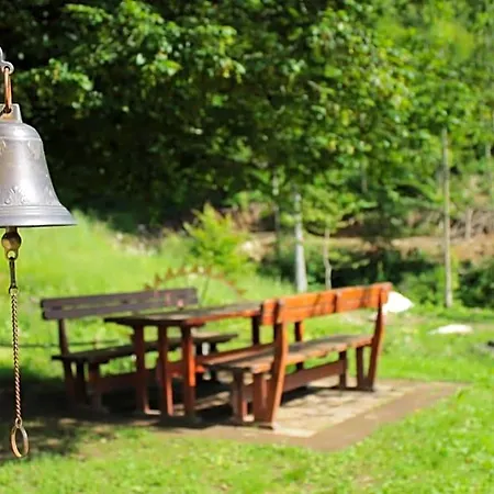 לינה וארוחת בוקר Bosco Delle Rune ..un Angolo Di Paradiso Platischis