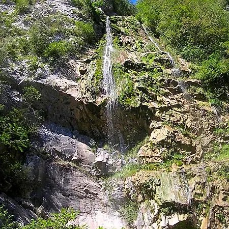 Bosco Delle Rune ..un Angolo Di Paradiso