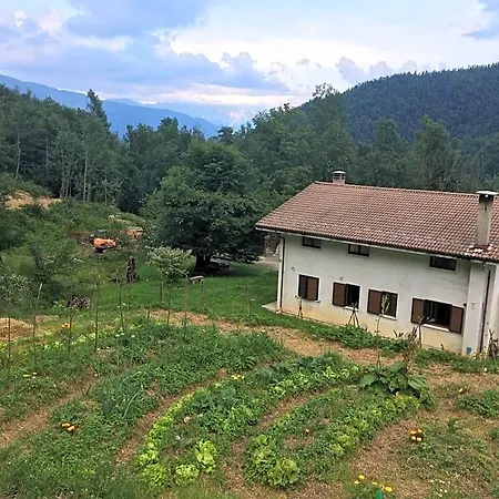 Bosco Delle Rune ..un Angolo Di Paradiso Platischis