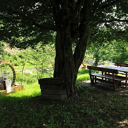 Bosco Delle Rune ..un Angolo Di Paradiso
