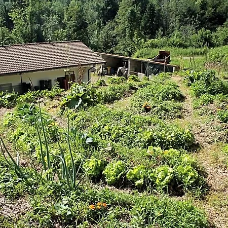 Bosco Delle Rune ..un Angolo Di Paradiso לינה וארוחת בוקר