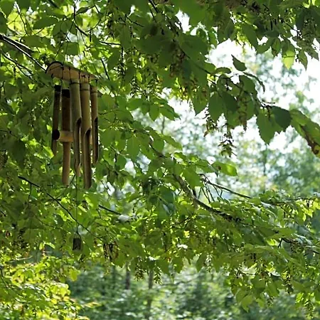 Bosco Delle Rune ..un Angolo Di Paradiso לינה וארוחת בוקר Platischis