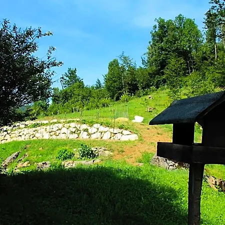לינה וארוחת בוקר Bosco Delle Rune ..un Angolo Di Paradiso Platischis