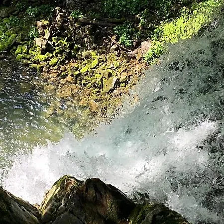 Bosco Delle Rune ..un Angolo Di Paradiso * Platischis